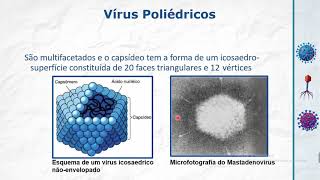 Virologia  Estrutura Viral  Capsídeo e Envelope  Aula 2 Parte 1 [upl. by Cletis231]