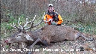 Chasse Aux Gros Gibiers Cerfs sangliers chevreuils renards [upl. by Latricia]