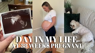 DAY IN MY LIFE  38 WEEKS PREGNANT MERIT BEAUTY GRWM  DR APPOINTMENT  FOOD TRUCK NIGHT [upl. by Atalanta]