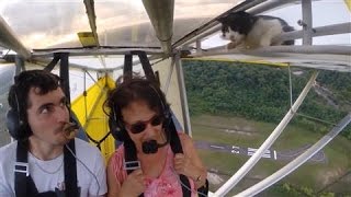 Cat Flying on Plane Shocks Pilot in Midair [upl. by Itsirhc164]