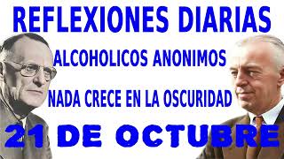 reflexiones diarias de alcoholicos anonimos  21 de octubre  NADA CRECE EN LA OSCURIDAD [upl. by Quenby]