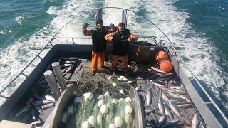 Fishing the line in Naknek Bristol Bay Alaska [upl. by Ahsat570]