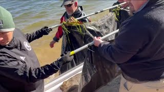 3000yearold ancient canoe recovered from Lake Mendota [upl. by Malda12]