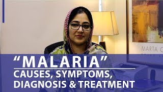 What is Malaria  Causes Symptoms Diagnosis amp Treatment  Chughtai Lab Online [upl. by Warford]