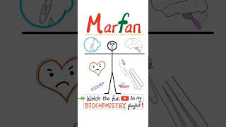 Marfan Syndrome  Genetics 🧬…science nclex mbbs usmle nurse doctor biology anatomy [upl. by Stiegler530]