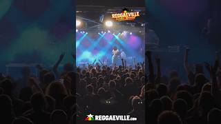 Yaksta Live at REGGAEVILLE EASTER SPECIAL 2024 in MÜNCHEN  Backstage 🔥 [upl. by Eylrac]