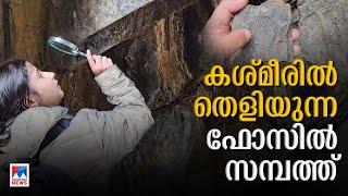 400 ദശലക്ഷം വർഷം പഴക്കം ജമ്മു കശ്മീരില്‍ തെളിയുന്ന ഫോസില്‍ ‘സമ്പത്ത്’  Sinthan Top [upl. by Yartnoed412]