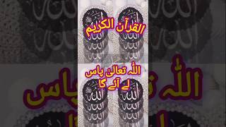 Allah tala pass ley aay gaforyou youtubeshorts islamicvideo [upl. by Zobkiw335]