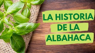 LA HISTORIA DE LA ALBAHACA [upl. by Holms]