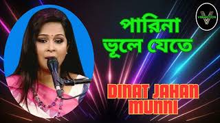 Parina Vule Jete  Dinat Jahan Munni  Vibration Music Planet [upl. by Egidio587]