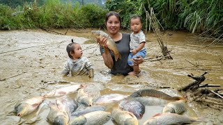 Harvesting a giant fish pond and bringing it to the market to sell with my young son [upl. by Luella]