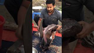 amazing Katol fish fishingvideo fishcuting fish fishcooking youtubeshorts fishing fishcutting [upl. by Carolann]