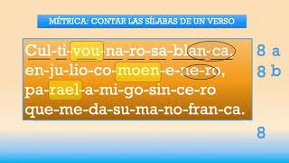 MÉTRICA Y RIMA análisis del esquema métrico de un poema [upl. by Animsaj]