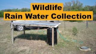 Rain Water Collection For Wildlife amp Hunting [upl. by Ardiedal870]