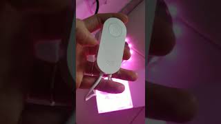 Fita De Led Wifi Rgb Yeelight  Xiaomi Shorts [upl. by Prady35]