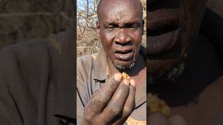 Hadzabe cutting trees to find out honey bees 🐝🐝🐝 [upl. by Atiuqin626]