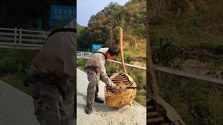 This man found a wasp hive in the forest 🌳 [upl. by Yendis]