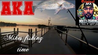 sydney harbour fishing bream jewfish squid flathead [upl. by Tullius605]