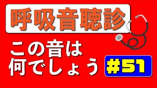 【51日目】毎日1分！こっそり呼吸音の聴診ができるようになりませんか？ [upl. by Nodnab]