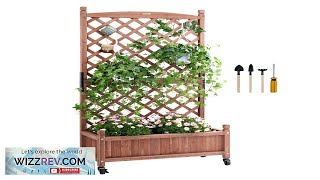 VEVOR Raised Garden Bed with Trellis 30quot x 13quot x 614quot Outdoor Review [upl. by Trinia]