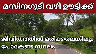 മസിനഗുടി വഴി ഊട്ടിയിലേക്കൊരു സ്വർഗീയ യാത്ര  Masinagudi tourist places  Masinagudi ootty [upl. by Abad793]