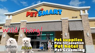 PETSMART WEST COVINA Walkthrough Tour [upl. by Sivert]