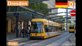 DRESDEN TRAMS  Straßenbahn Dresden 2024 4K [upl. by Artima1]