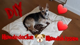 DIY Hundekissen DIY Hundedecke selber machen Hundekissen nähen Hundedecke nähen [upl. by Ahsilak]