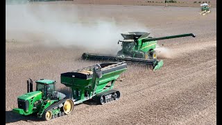 2024 Soybean Harvest in Indiana  West Central Indiana [upl. by Bloomer986]