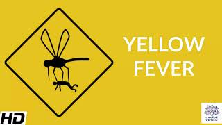 Yellow Fever Causes Signs and Symptoms Diagnosis and Treatment [upl. by Maidie]