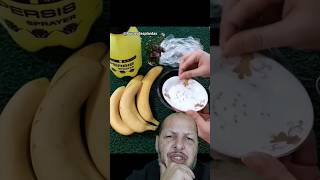 Germinar banana da semente [upl. by Rez]