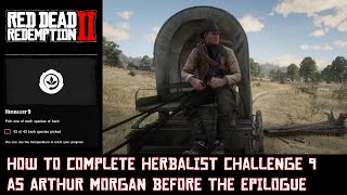 RDR 2 How to complete Herbalist Challenge 9 as Arthur Morgan [upl. by Nylaret]