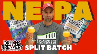 NEIPA Split Batch Grain to Glass  Escarpment Labs [upl. by Michel986]