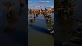 Sahara is hit by flash floods submerging dunes and palm trees [upl. by Tooley129]