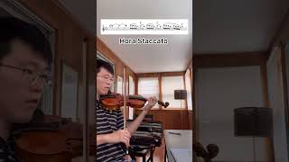 Hora Staccato violinclassicalmusic classicalmusic violinist violin horastaccato staccato [upl. by Haney]