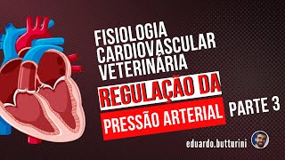 Regulação da pressão arterial aula 7  parte 3  Fisiologia cardiovascular [upl. by Boehike]