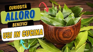 Alloro Benefici Curiosità e Usi in Cucina [upl. by Evalyn]