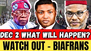 ALA IGBO BOILS PANICS IN IGBO LAND AS DEC 2 DRAWS NEAR  BIAFRAN DECLARATION IN SOUTH EAST [upl. by Lorou986]