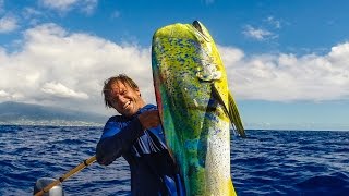 Quick Draw  Spearing MahiMahi from moving boat [upl. by Ahsir]