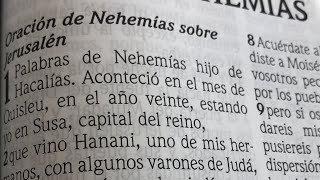 Nehemías 12 Oración de Nehemías sobre Jerusalén y Hebreos 12 Puestos los ojos en Jesús RVR1960 [upl. by Gaylene53]