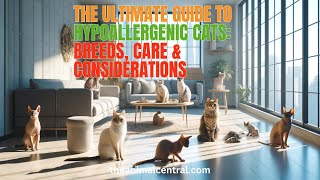 The Ultimate Guide to Hypoallergenic Cats Breeds amp Care [upl. by Alel]