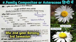 Family Compositae or Asteraceae in hindi BSc 2nd year Botany 3rd Semester [upl. by Adnaral]