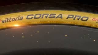 Vittoria Corsa PRO Gold Limited Edition [upl. by Mcmaster232]