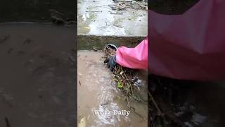 Complete Blockage Fix Restoring Flow in Plugged Storm Drain [upl. by Razatlab]