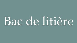 How to Pronounce Bac de litière Litter box Correctly in French [upl. by Gerrit598]