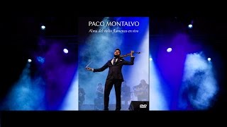 Paco Montalvo “Alma del violín flamenco en vivo” Trailer DVD [upl. by Artnoed]