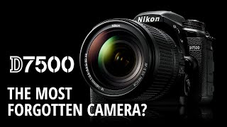 NIKON D7500 Review  The most forgotten camera [upl. by Eelyac]