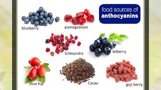 Secondary metabolites [upl. by Jodie]