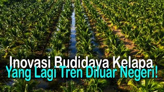 Wah Ini Inovasi Pertanian Kelapa Diluar Negeri Bisa Terapkan Di Indonesia [upl. by Roose]