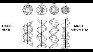 I cloni ospitano gli originali Esperimenti di ibridazione con dna umano Maria Antonietta 241024 [upl. by Lief]